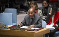 Mohamed Ibn Chambas warns Security Council of ‘fragile political situation’ in West African countrie