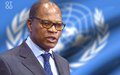 SRSG Mohamed Ibn Chambas briefing to Security Council on UNOWA activities