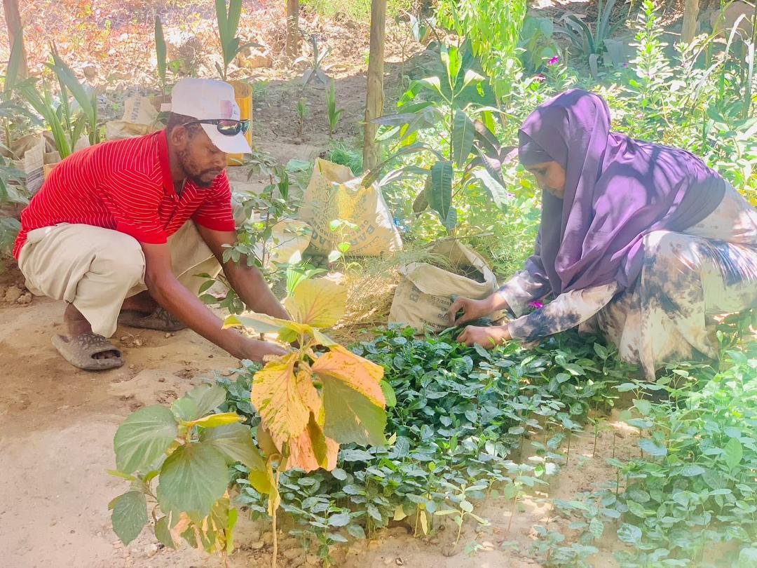 Photo of Fatuma Mohamed Abdi